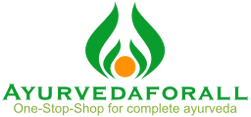 img/logo1.png